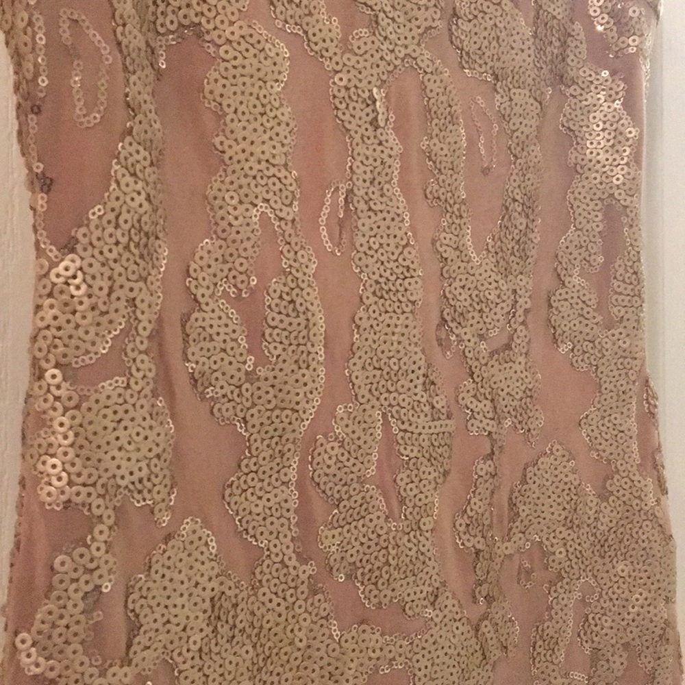 nude sequence and sheer dress